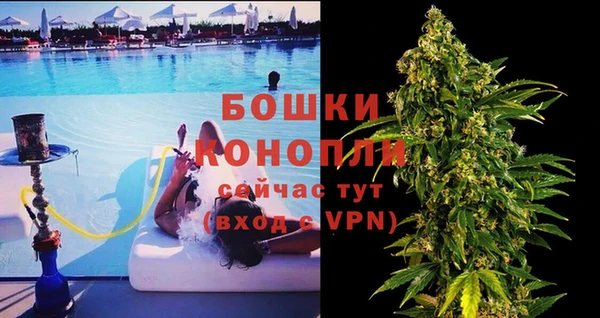 мдпв Протвино