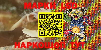 стаф Кинель