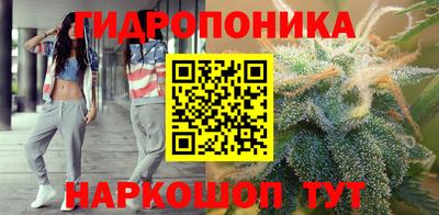 стаф Кинель