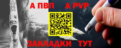стаф Кинель
