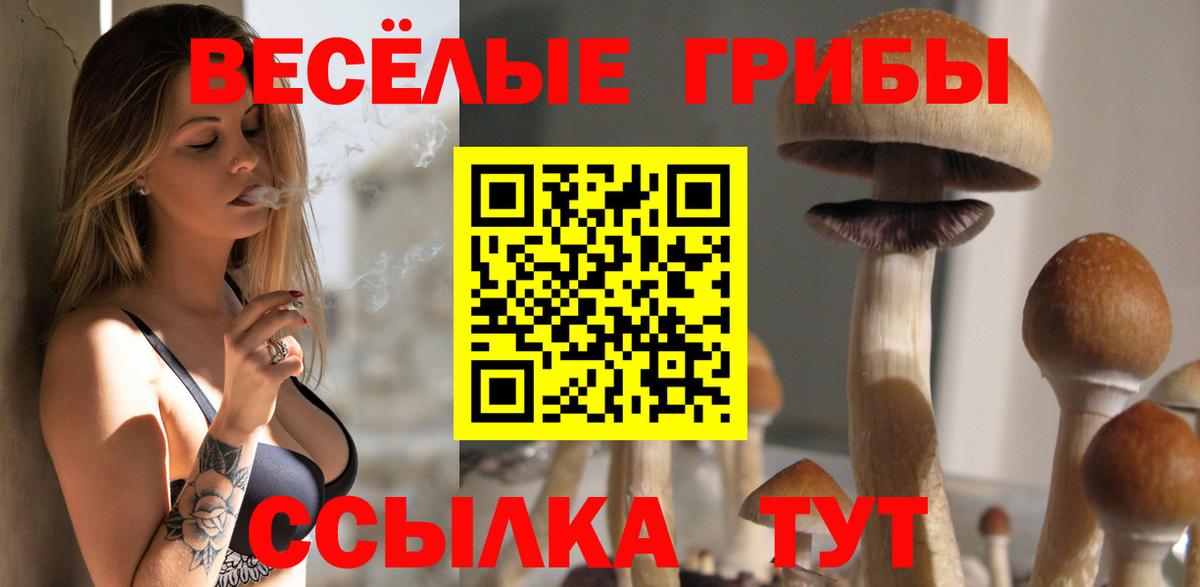 Тула  Псилоцибиновые грибы ЛСД  Вход с VPN  Псилоцибиновые грибы Magic Shrooms 