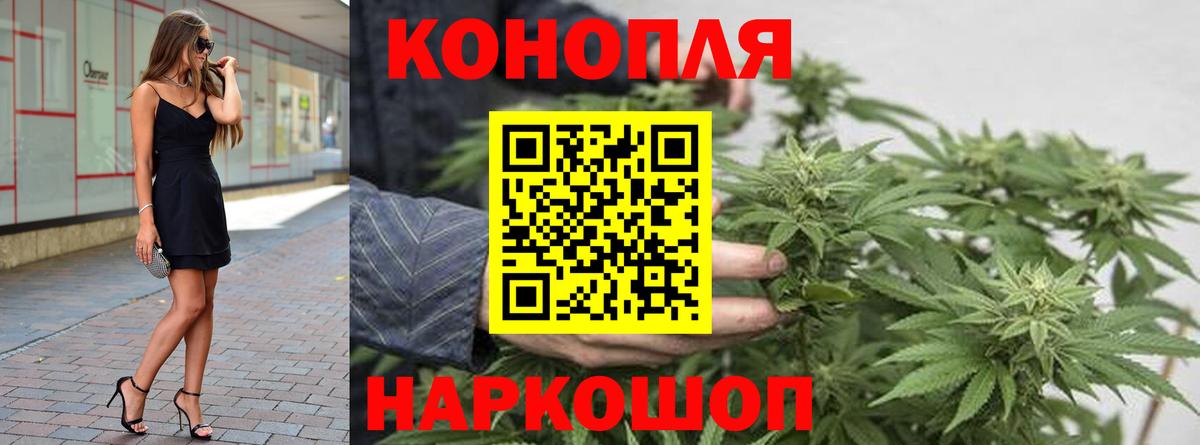 Конопля OG Kush Тула